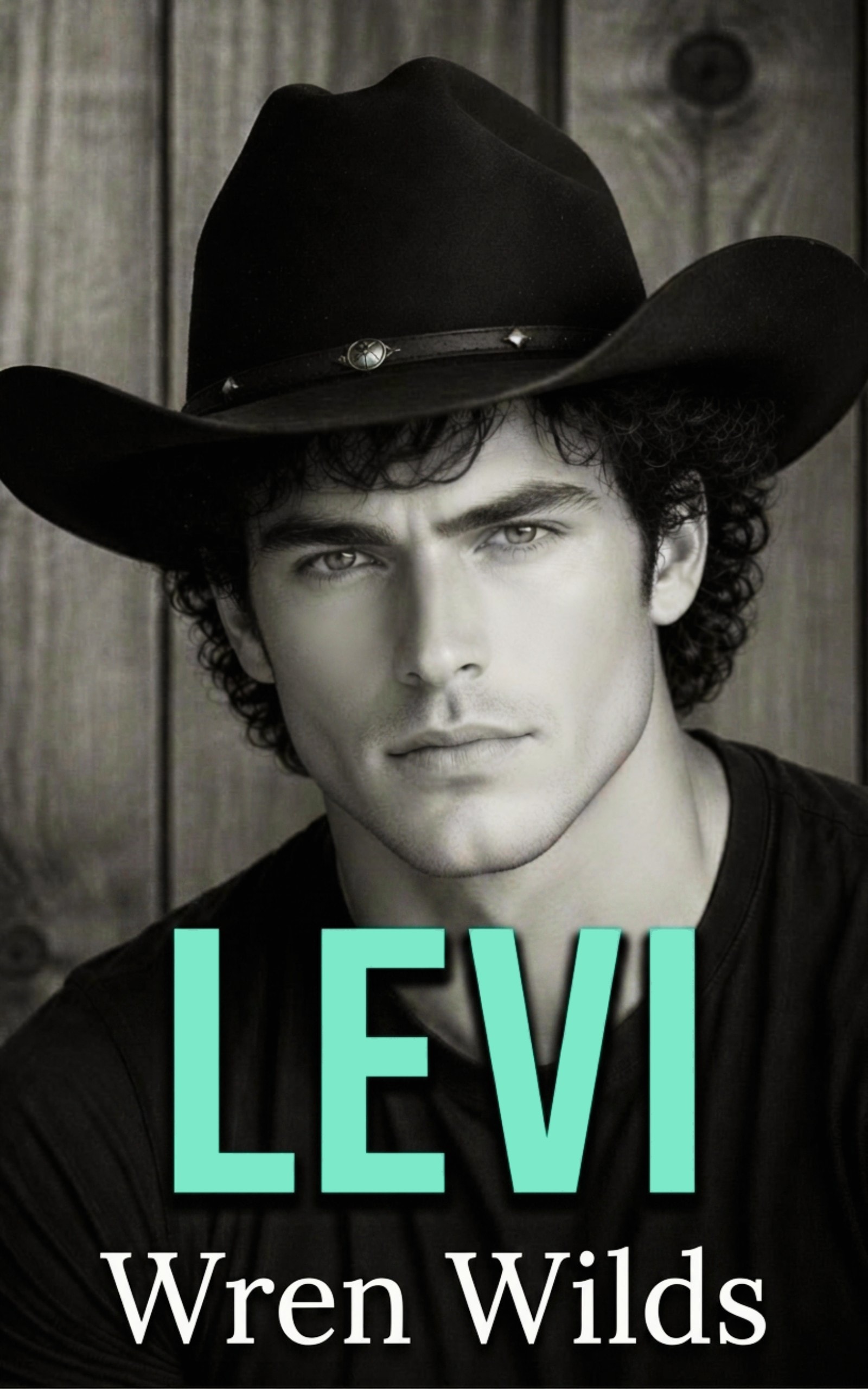 Levi book cover
