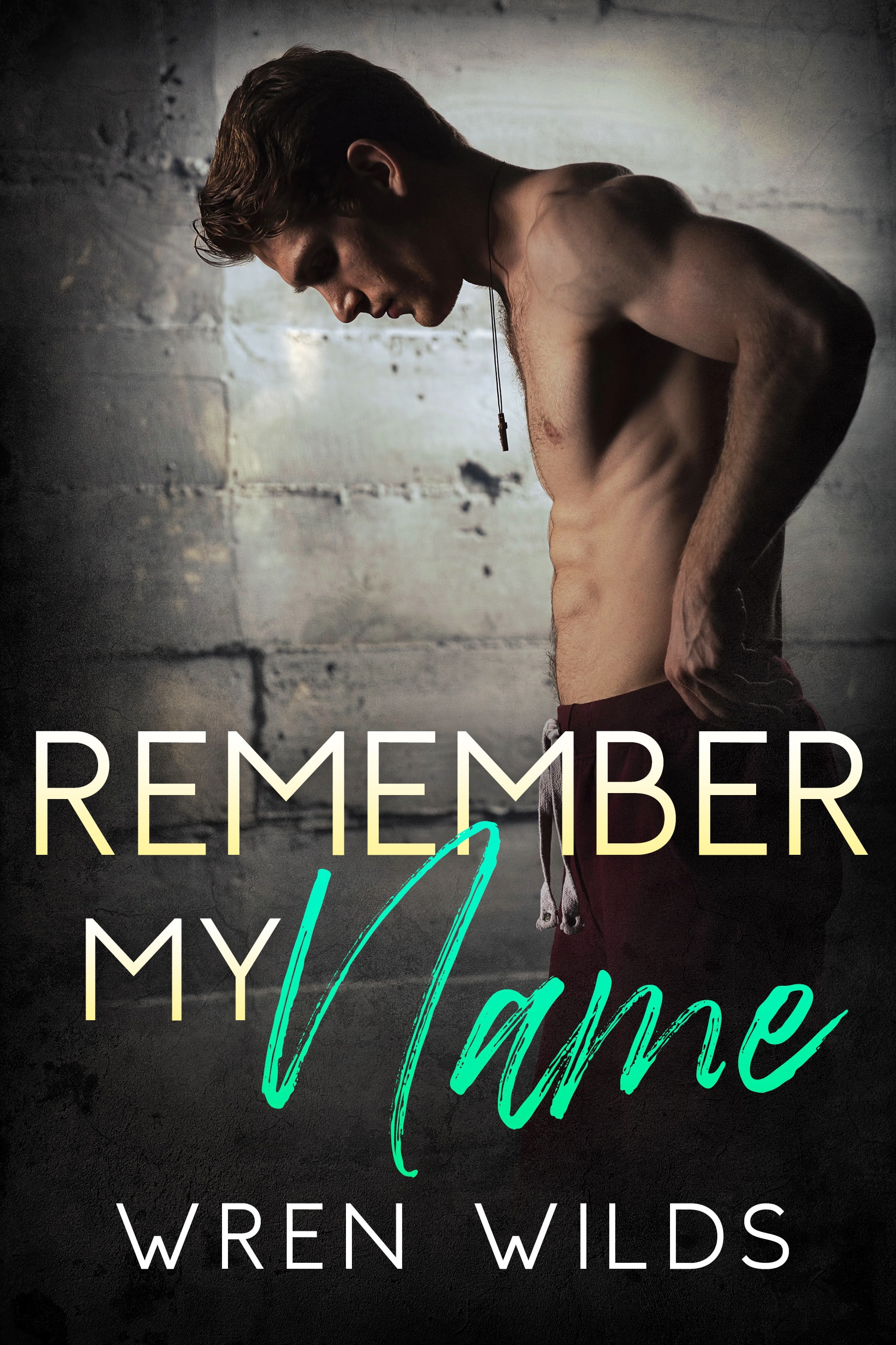 Remember My Name book cover