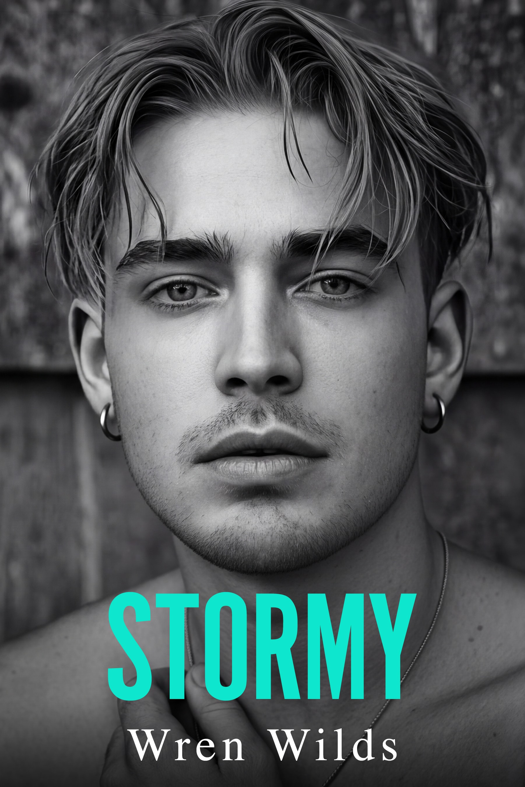 Stormy book cover